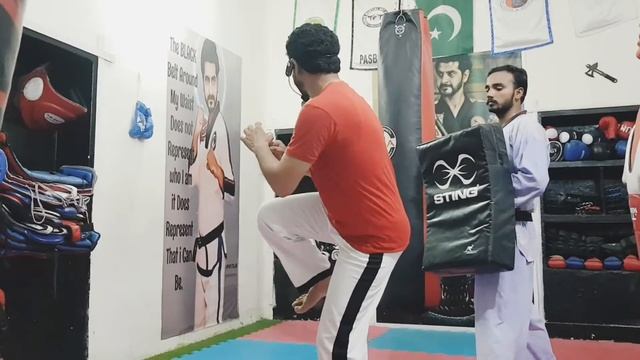 Taekwondo Learning| Level 4 Green Belt Syllables|#Back #Kick By Master jahanzaib Ali| смотреть онлайн