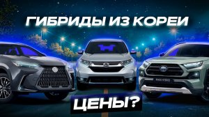 TOYOTA RAV4 VS LEXUS NX350h или CR-V?! ТОП-3 ГИБРИДНЫХ КРОССОВЕРА ИЗ КОРЕИ! 2025