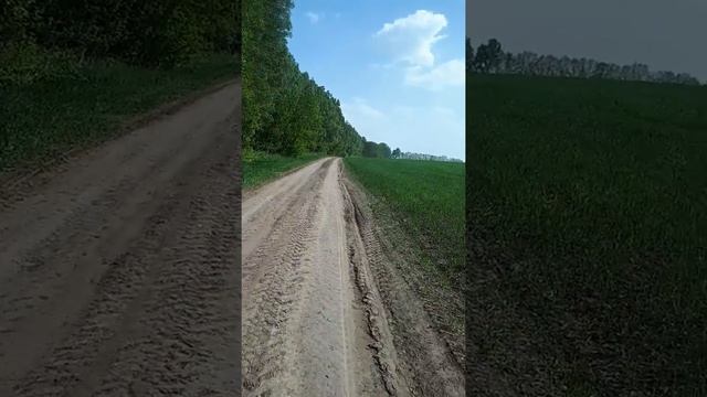 Максималка Jawa 638 смотреть онлайн