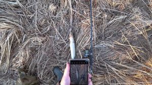 Моя первая рыбалка в марте 2025