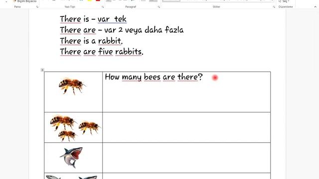 3. Sınıf 10. Ünite (Nature) - Part 1 смотреть онлайн