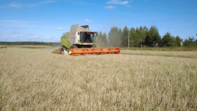 Уборка зерновых 1 смотреть онлайн