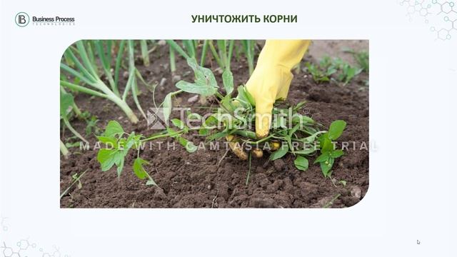 Презентация Webwellness смотреть онлайн