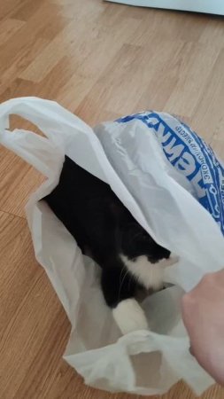 Пакеты наше ВСЁ