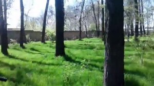 4 апреля 2018 г.