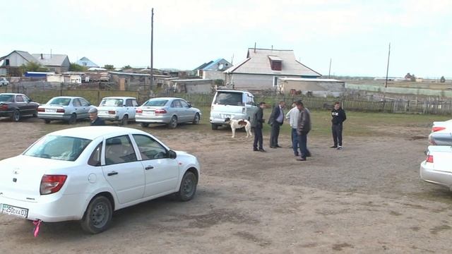 Амина апа 70жас Мерей тойы Біржан Сал ауданы смотреть онлайн