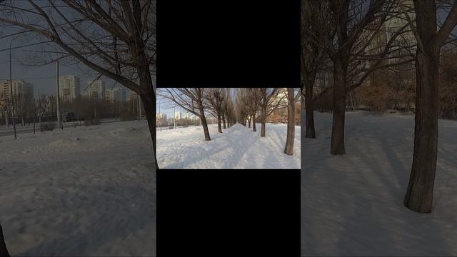 Черно-белая фотография на мыльницу  Sony w530