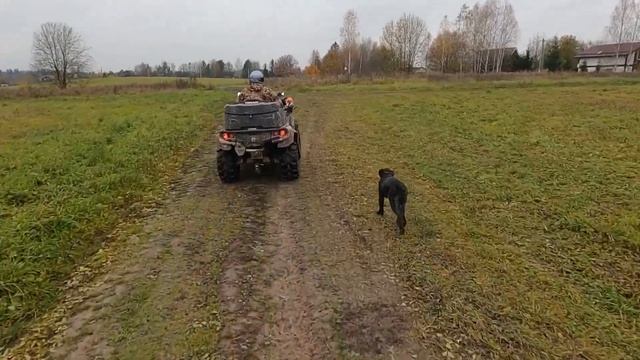 КвадроПокатушки по 🌳грязь болото. Октябрь 2023 г смотреть онлайн