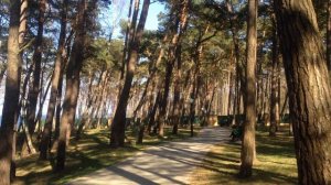 Обзор книги Марины Комиссаровой "Любовь: секреты разморозки"