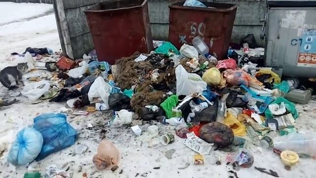 Свалка возле жилых домов. Не вывозят мусор, потому что нет бензина. смотреть онлайн
