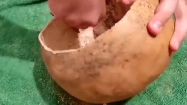 Моя малая Родина: природа,культура,этнос.