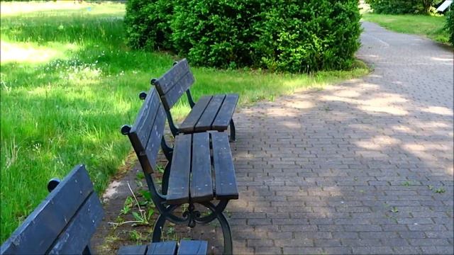 Песня дрозда. смотреть онлайн