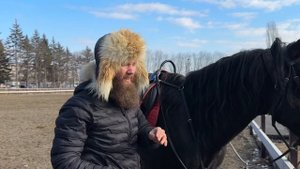 Жеребец танцует. Нет ни одного аллюра, кроме галопа | Александр Обжерин