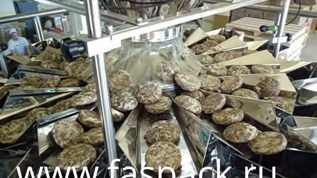 Вертикальная упаковочная машина BR500 фасовка пряников