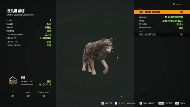 Oh Baby a Triple! 😂 | THREE Diamond Ibex on Cuatro Colinas! | theHunter Call of the Wild смотреть онлайн