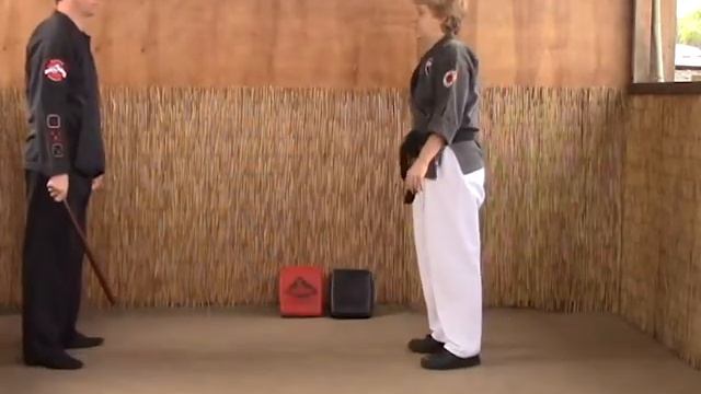 Tracy Kenpo Karate Startled Cat AB