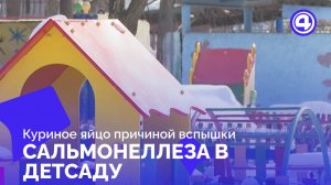 Сальмонеллез в детсаду №48: 16 детей заболели, начато эпидрасследование