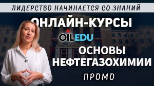 Основы нефтегазохимии. Проморолик