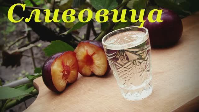 🥃 Самогон из Слив 🍑 (Сливовица)