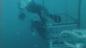 Клуб путешественников / ПОДВОДНЫЙ МИР Ю.Сенкевич 1988 г