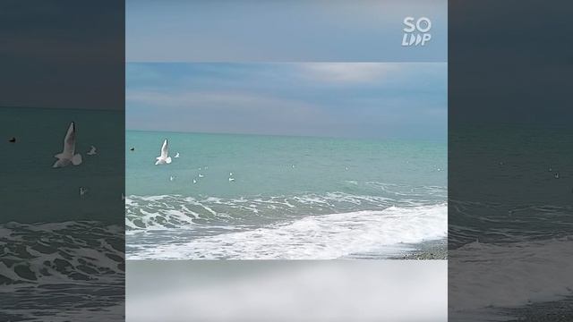 Моменты. Осень в декабре 2022. смотреть онлайн