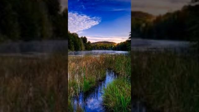 Слава Богу за Все смотреть онлайн