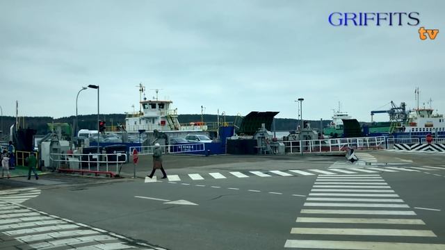 РОДИТЕЛЬСКИЙ ДЕНЬ. ВЫХОДНЫЕ В ПАЛАНГЕ. VLOG #2. смотреть онлайн