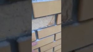 Тербунский Гончар