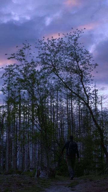 Успех это путь одиночек