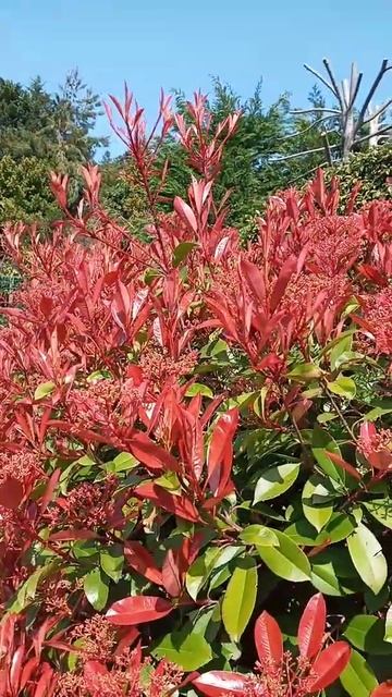 artoflandscape смотреть онлайн