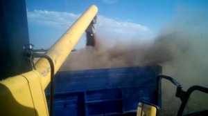 Уборка гороха.(Комбайн New Holland CSX 7080.)