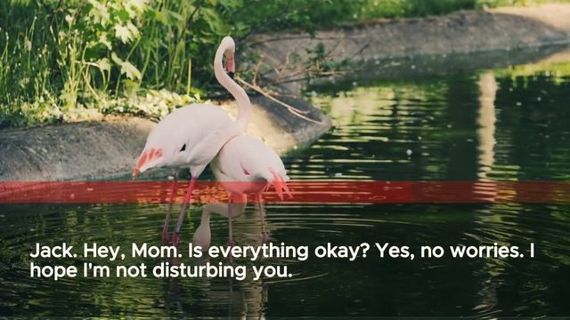 Rescuing My Grandson from His Own Mother - A Shocking Revelation!" Hidden Cameras Reveal the Truth смотреть онлайн