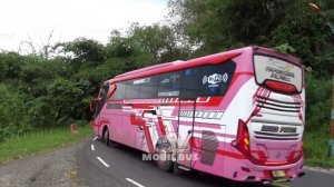 MOBIL BUS TELOLET CS TRANS ALFAIZI ALZIFA AIYA SUSANTI, ADREENA, DMH, SAAT MELEWATI TIKUNGAN TAJAM