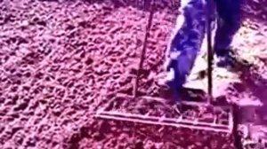 СУПЕР ВИЛЫ 1