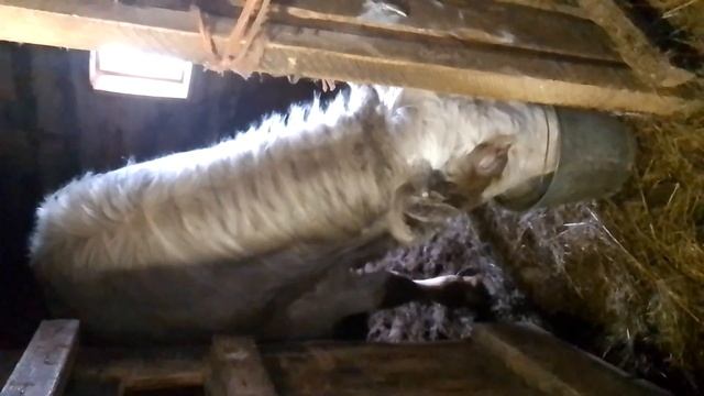 если наши реквизиты для оплаты в течение дня пришлю вам на согласование в бан без предупреждений смотреть онлайн