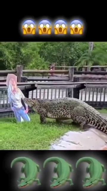 ЖЕСТЬ... крокодил поймал человека 😏 смотреть онлайн