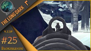 The Long Dark ч.25  - День 59ый...🪓Выжить любой ценой🪓Выживание "сталкер".