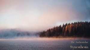 The Ambientalist GIF