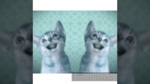 Preview 2 Numa Cat Effects (Klasky Csupo 2001 Effects) In CoNfUsIoN