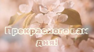Музыкальная открытка. Всего вам доброго!