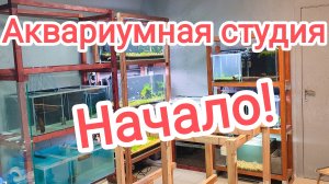 Строительство аквариумной студии. Начало!