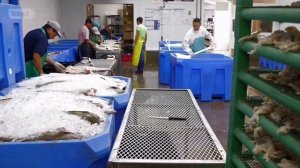 Необычная еда. Гастрономические путешествия.  Провиденс 3.06