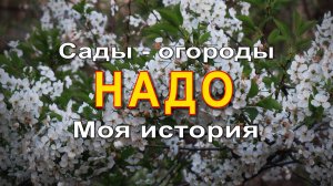 Сад-огород Моя история