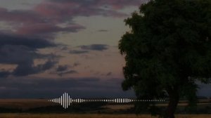 Словна ветер в степи.🎶 музыка кайф 😇
