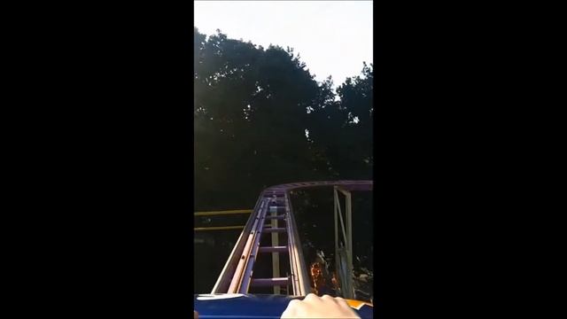 Дикая мышь смотреть онлайн