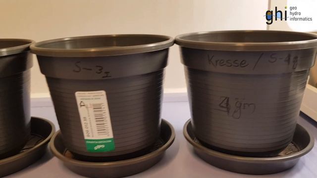 Soil salinization and plant growth: DIY experiments смотреть онлайн