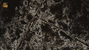 Кварцевый камень Black Mirror EQJM 052 ETNA QUARTZ