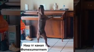Хорошо поет, душевно