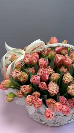 125 тюльпанов квинсленд #цветы #букет #урокифлористики