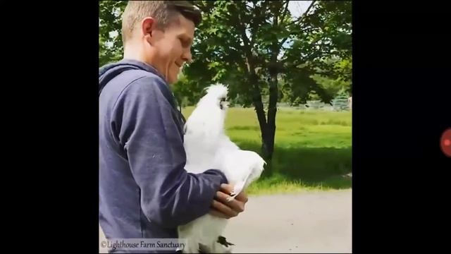 Люди и Животные смотреть онлайн